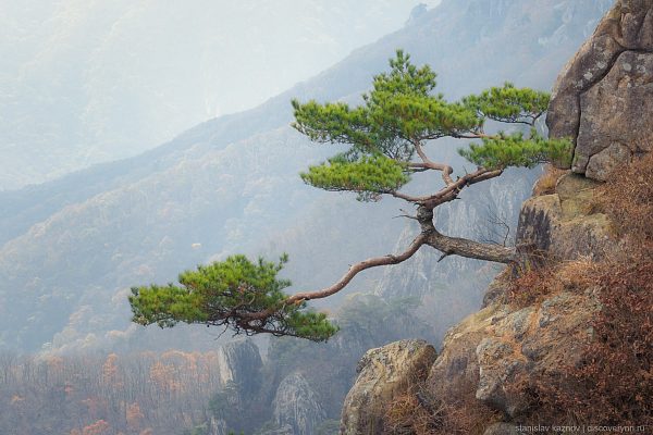 daedunsan mountain